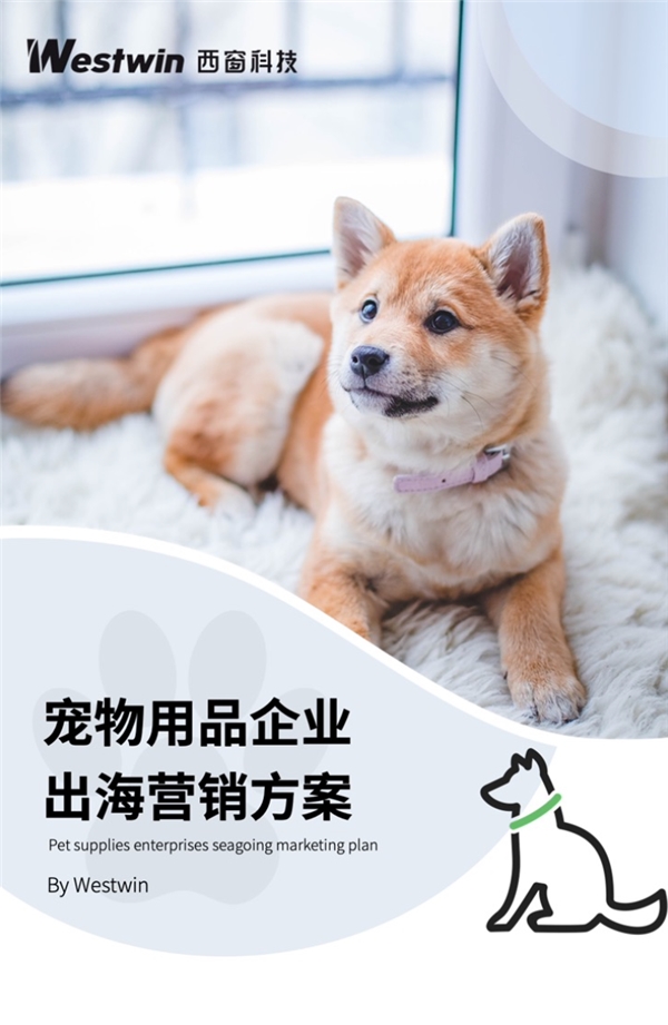 西窗科技：用新视野看新商机，让品牌出海正当时