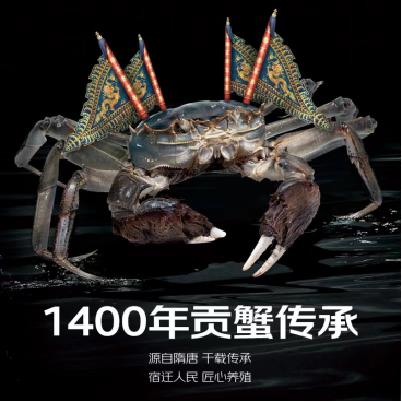 https://img2.danews.cc/upload/ajax/20230629/5f6f2a34fd8816b23553b73024169086.png