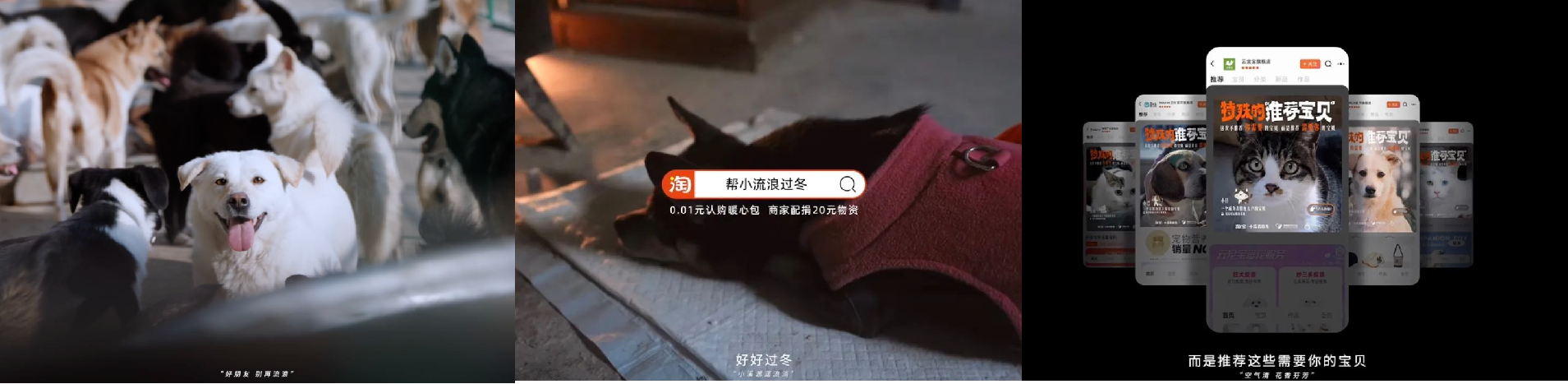 冬日最暖公益：大雪，淘宝推荐「需要你的」宝贝